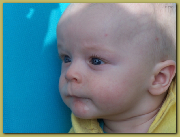 599x448 pixels (158K)